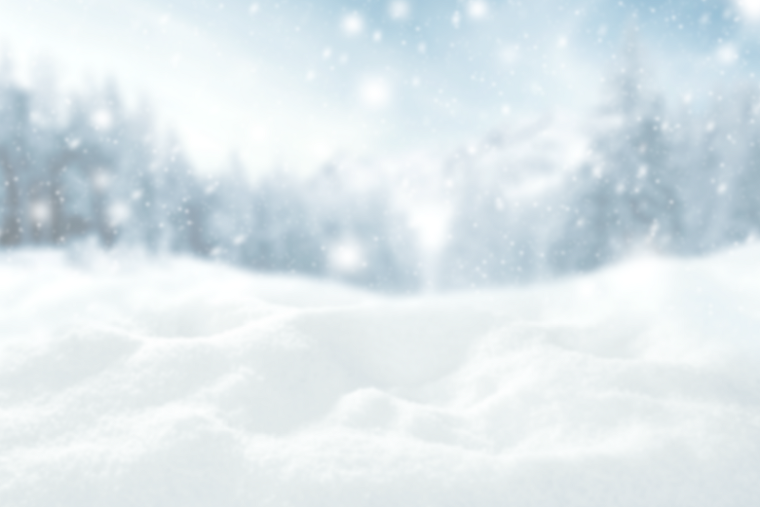 Winter Moos