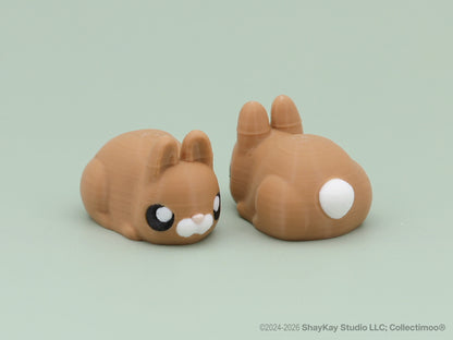Micro Bunny