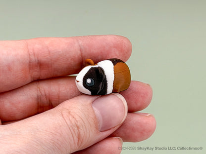 Micro Guinea Pig