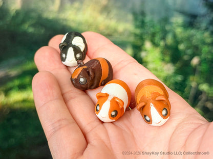 Micro Guinea Pig