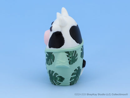 Monstera Moo