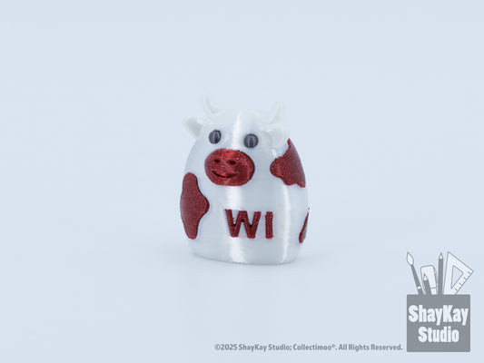 Wisconsin (WI) State MOOnetic™